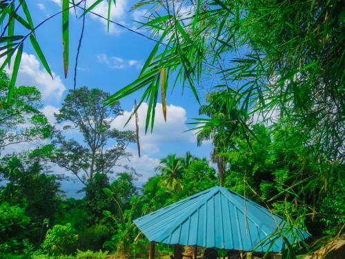 Hotel Sobakee Eco Resort
