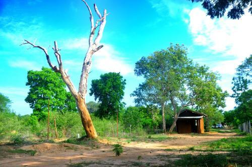Apartamento C Base Cottage