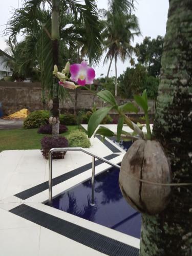 Bed & Breakfast Colibri Villa