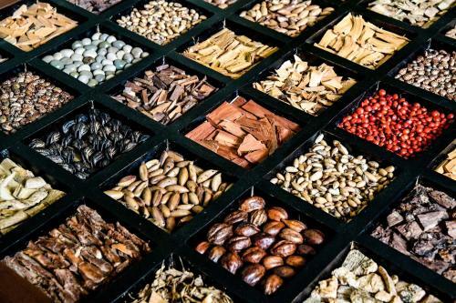 Hotel Velmarie 10-days Beginners Ayurveda Course
