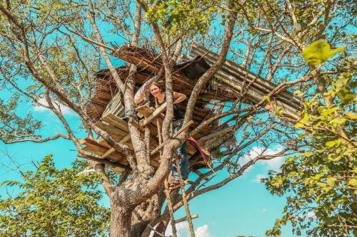 Yapahuwa Birds Homestay
