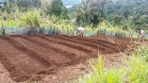 Agroturismo Maswela Farmstay Bungalow
