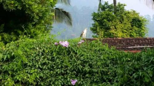 Agroturismo Maswela Farmstay Bungalow
