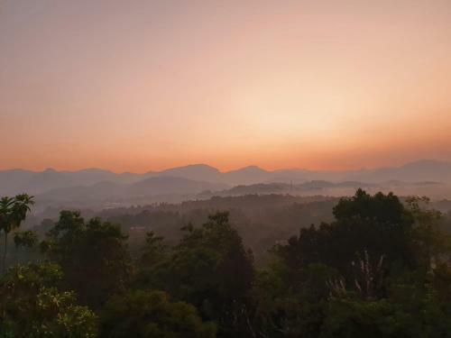 Eagle's Nest Dream Hills