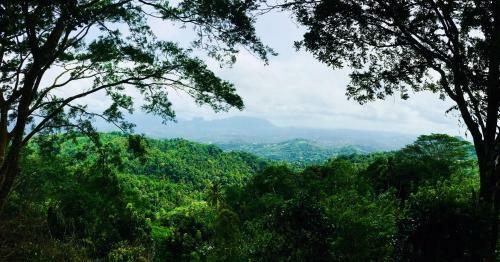 Ceylon Saradiel Home Stay