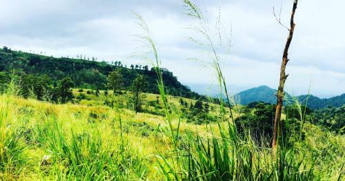 Ceylon Saradiel Home Stay