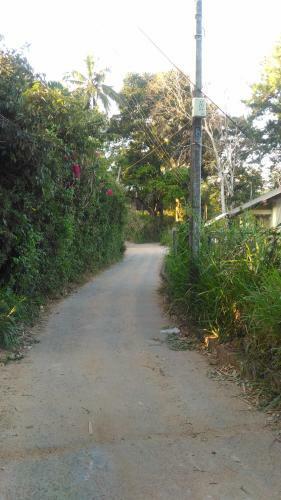 Happy Banana Homestay Kandy