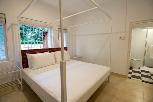 Albergue Stay Lost & Found - Kandy