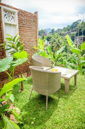 Albergue Banana Bunks