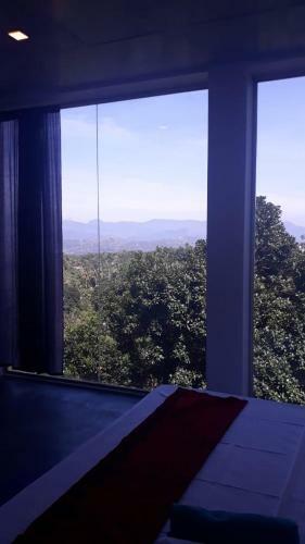 Ahas