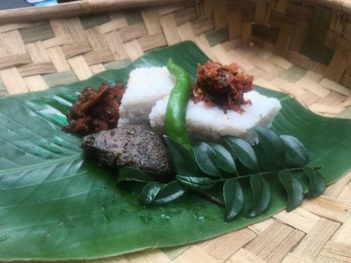 Hasthi Home Stay