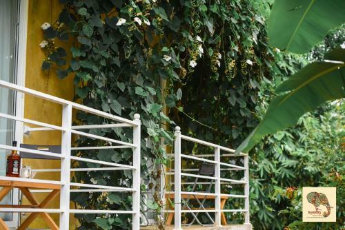 Hasthi Home Stay