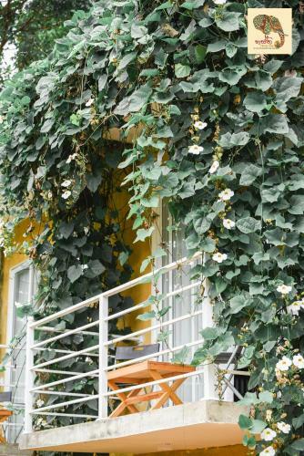 Hasthi Home Stay