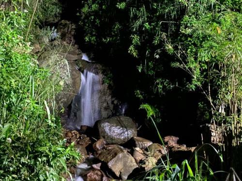 Hotel Hanthana Eco Lodge