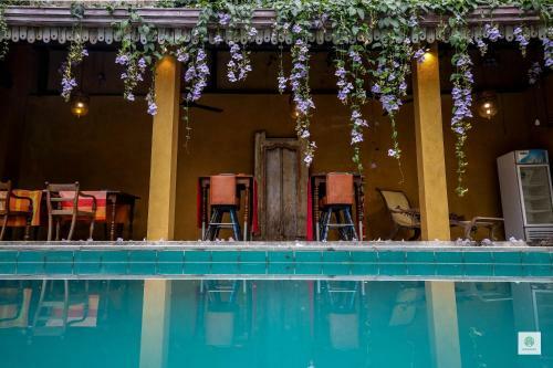 Bed & Breakfast Goddess Kandy
