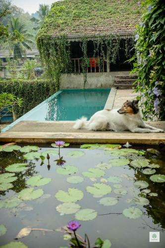 Bed & Breakfast Goddess Kandy
