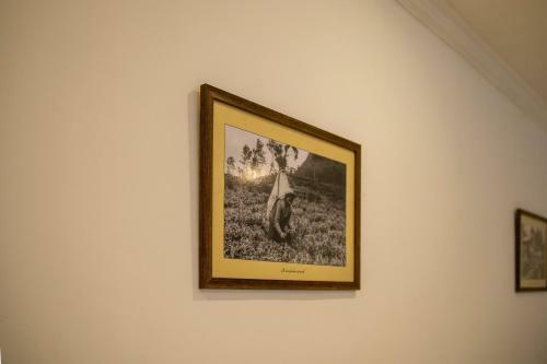 Hotel Ganthera Kandy