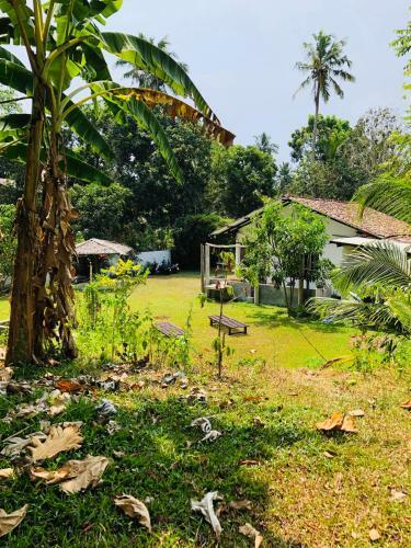 Villa Nature Green