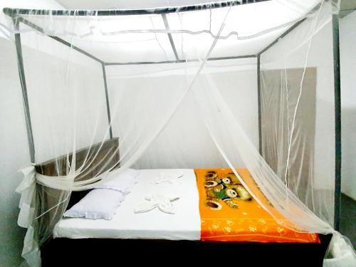 Hostal Surfing Waves Madiha