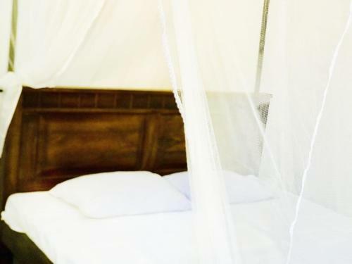 Hostal Surfing Waves Madiha