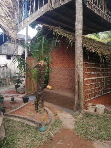 Lodge Bimanjee Mango Resort