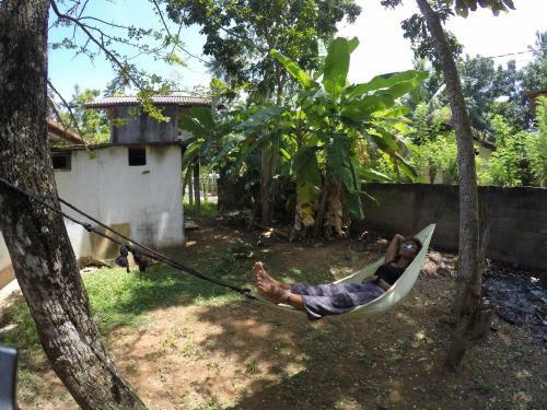 Lodge Bimanjee Mango Resort