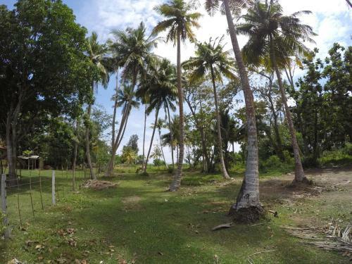 Lodge Bimanjee Mango Resort