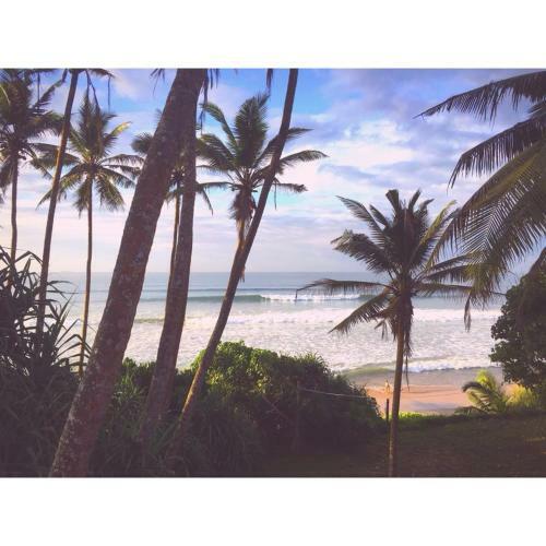 Hotel Leone Paradise Surf Beach