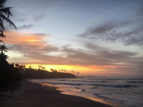 Hotel Leone Paradise Surf Beach