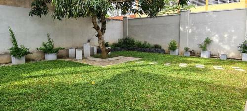 Apartamento Tephrodornis Villa