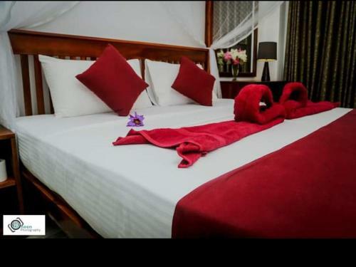 Hostal Kings Marine Sk Town