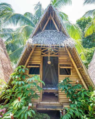 Mango Tree Eco-hostel