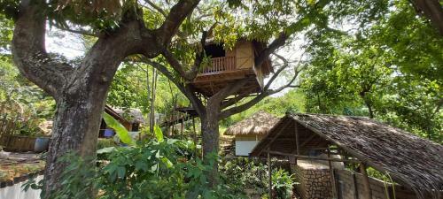 Hotel Pirates Diving Resort Coron