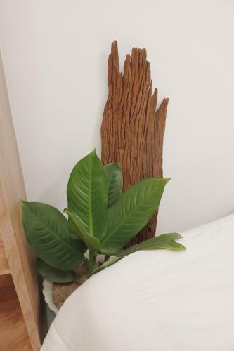 Hotel Aj Coffee & Bed