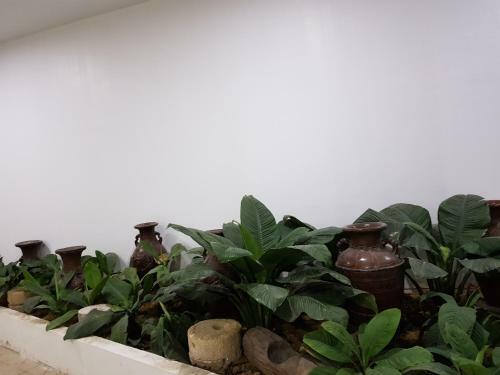 B&s Orchids Suites Hotel