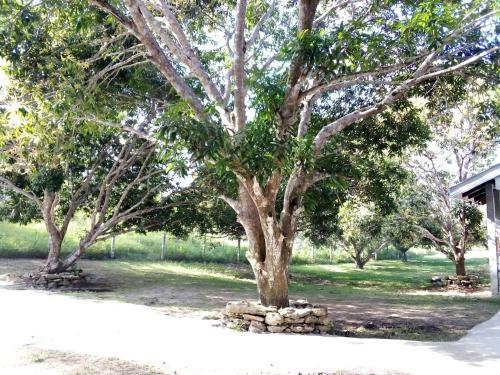 Bed & Breakfast Balai Mariacaria Pension House