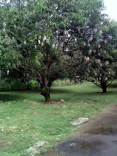 Bed & Breakfast Balai Mariacaria Pension House