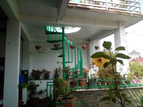 Hostal Ellens Homestay