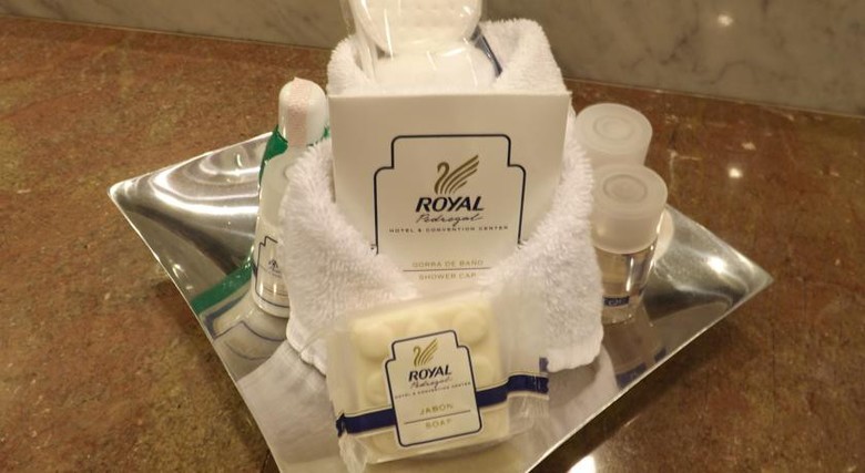 Hotel Royal Pedregal