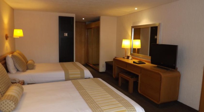 Hotel Royal Pedregal