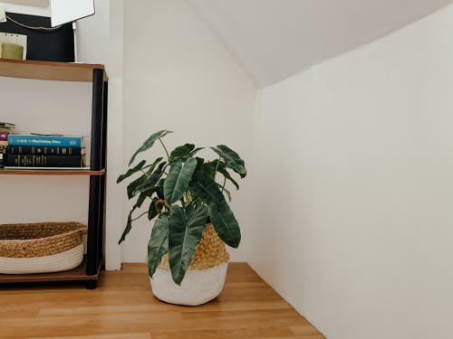 Cozy Attic Studio