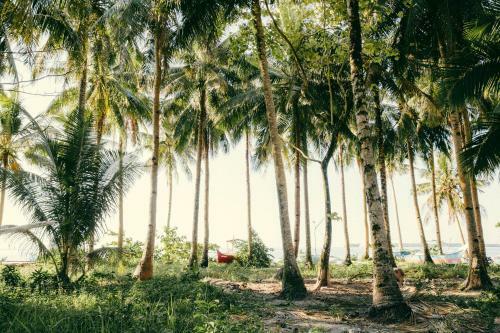Posada Little Nap Inn Siargao