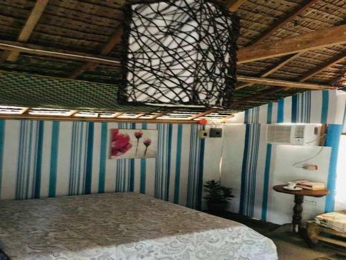 Hotel Half Moon Village And Beach House