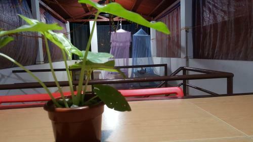 Apartamento The Village House El Nido, Palawan