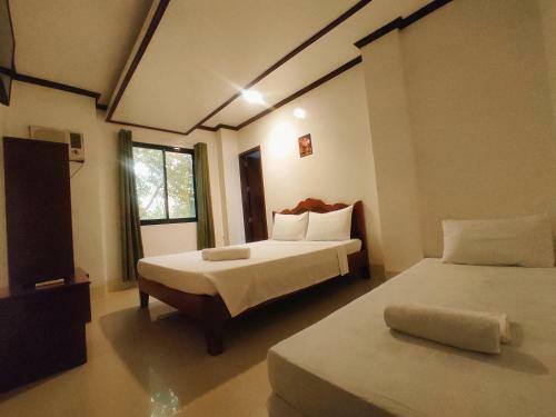 Alocasia Hostel