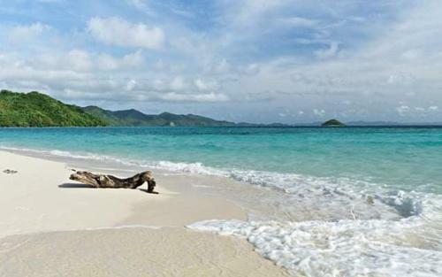 Backpackers Island El Nido