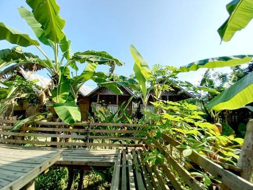 Posada Banana Grove El Nido