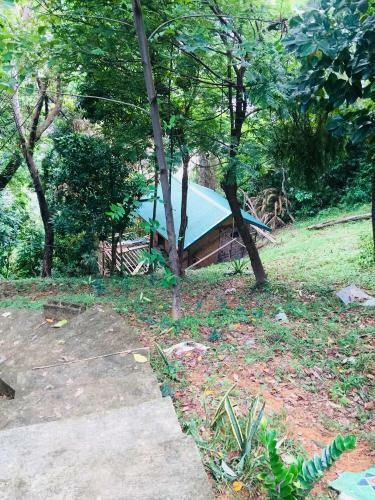 Camp Talusi Hills