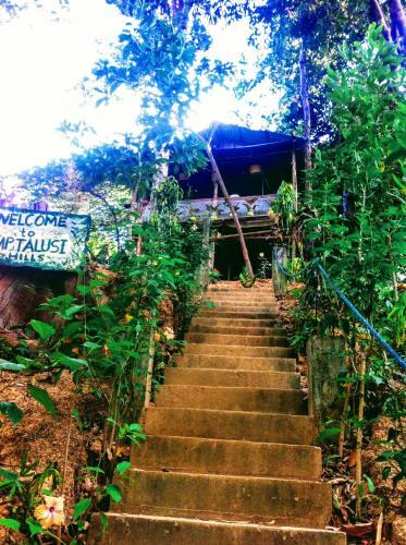 Camp Talusi Hills