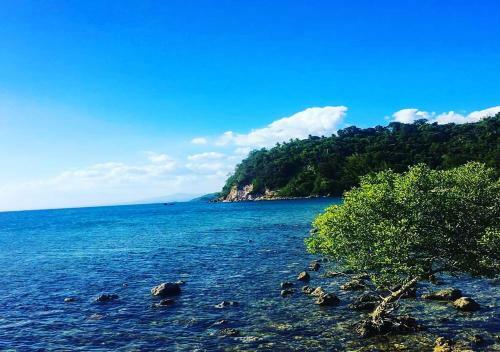 Anilao Port Transient House